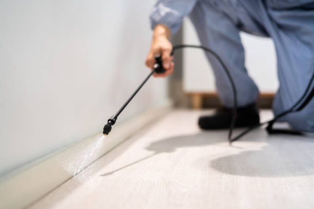 Bed Bug Pre-Treatment Preparation Assessment in Shannon Hills