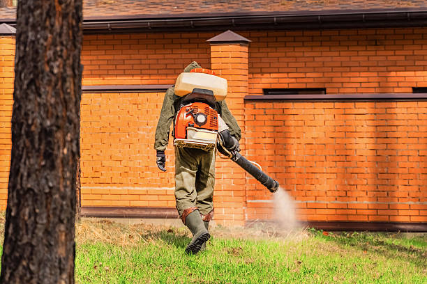 Bed Bug Clearance Verification and Documentation in Shannon Hills